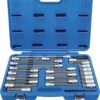 BGS 5184 Bitsatz KfZ Werkstatt Spezial 6-kant Torx Ribe Innenvielzahn 38 Teilig Im Koffer -Werkstattwerkzeuge Geschäft bgs 5184 biteinsaetze kfz spezial 0