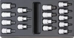 STAHLWILLE ES 54X/54TX Torx Steckschlüsselgarnitur Einlage 16 Teilig Antrieb 12,5mm (1/2") - 96838115